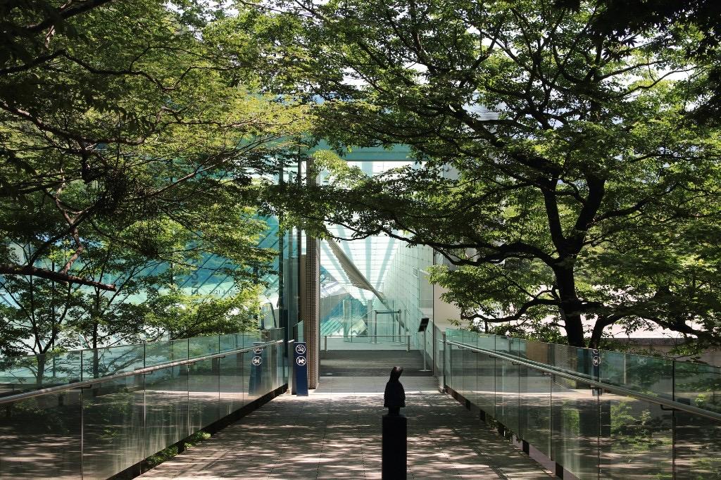 箱根の森の美術館周辺