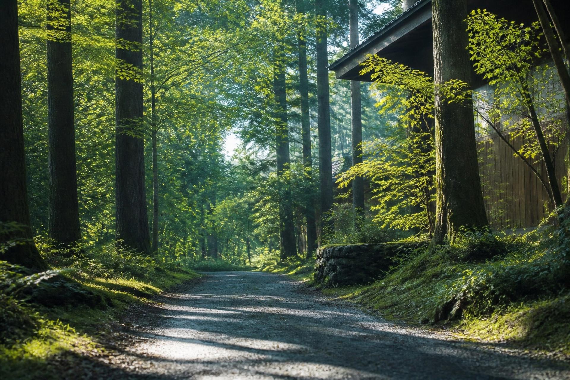 軽井沢の高原リゾートの景色