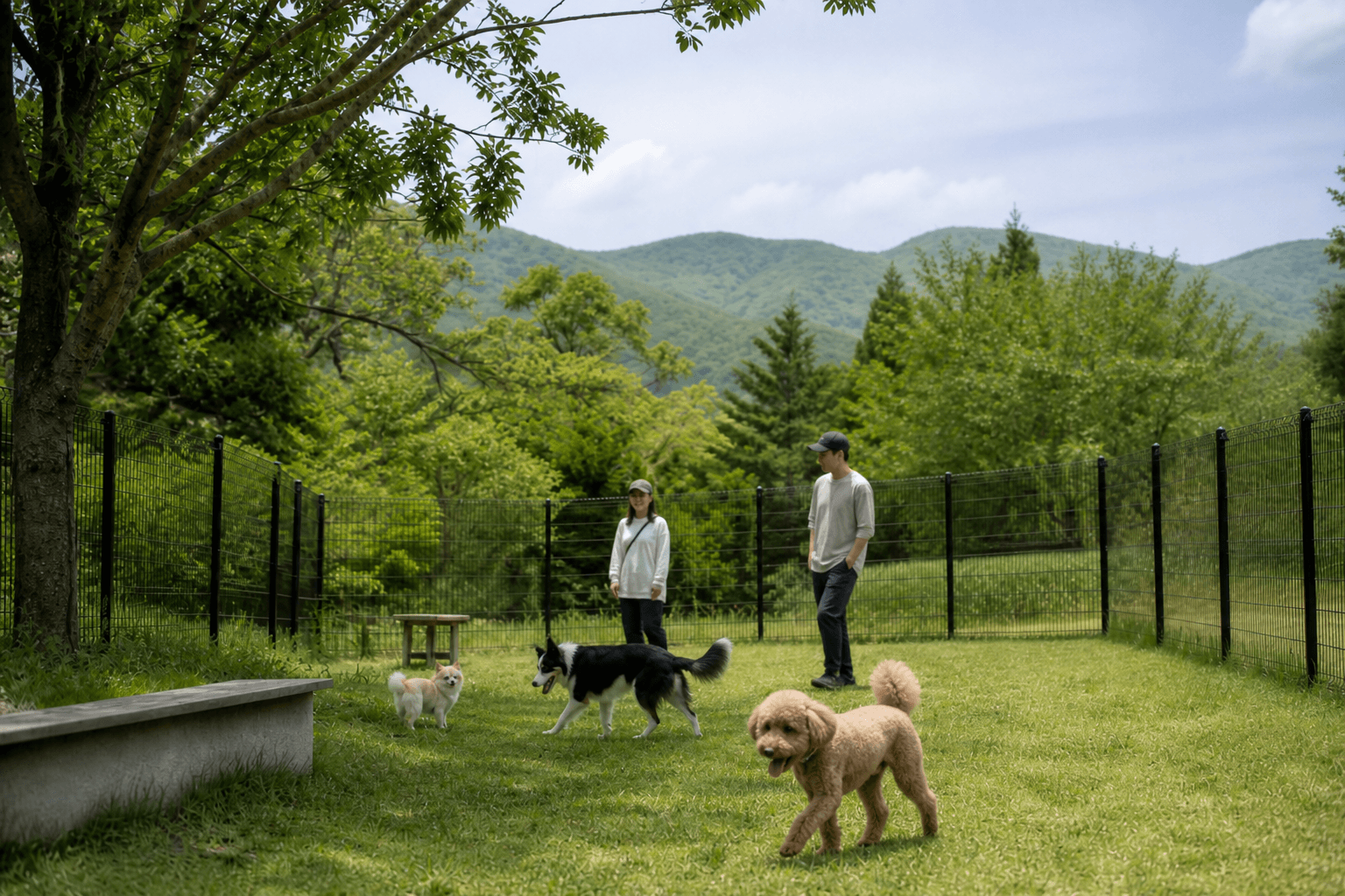 伊豆高原の緑のなかの屋外ドッグラン