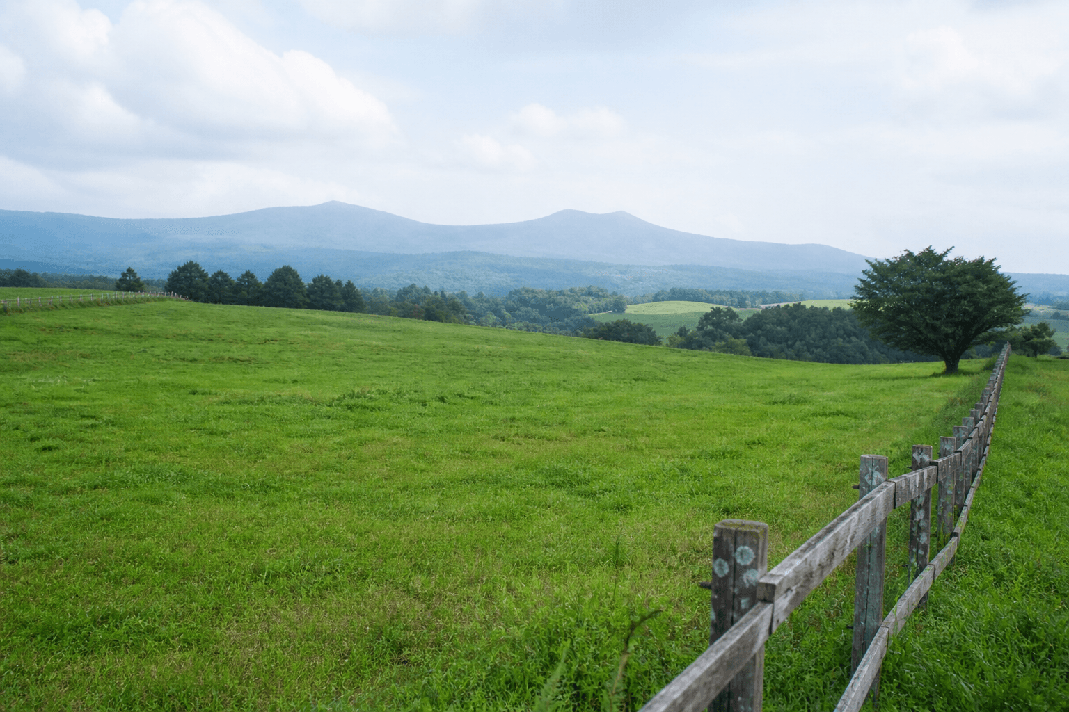 那須高原・南ヶ丘牧場の緑の風景