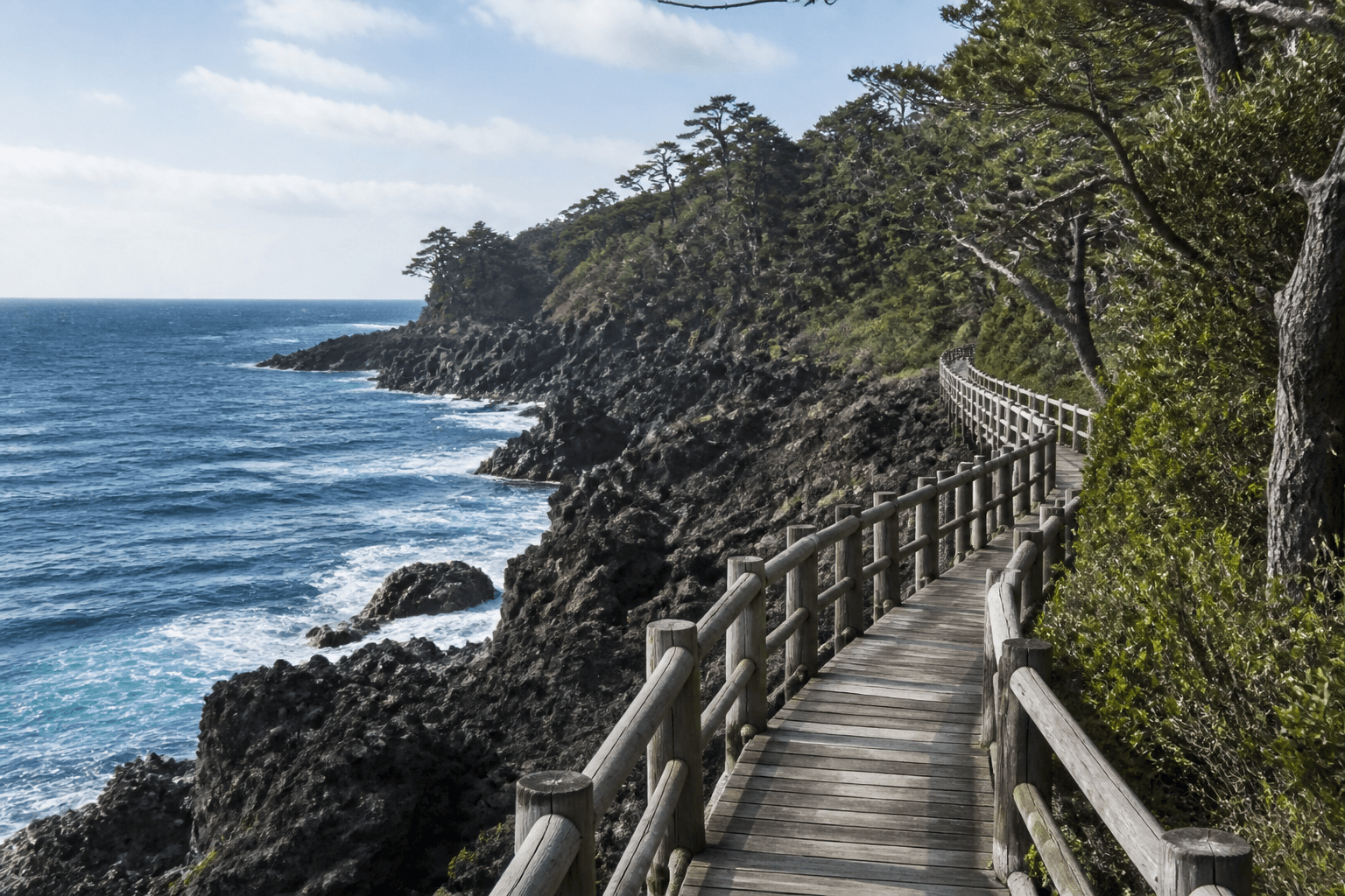 城ヶ崎海岸の遊歩道と潮騒の景色