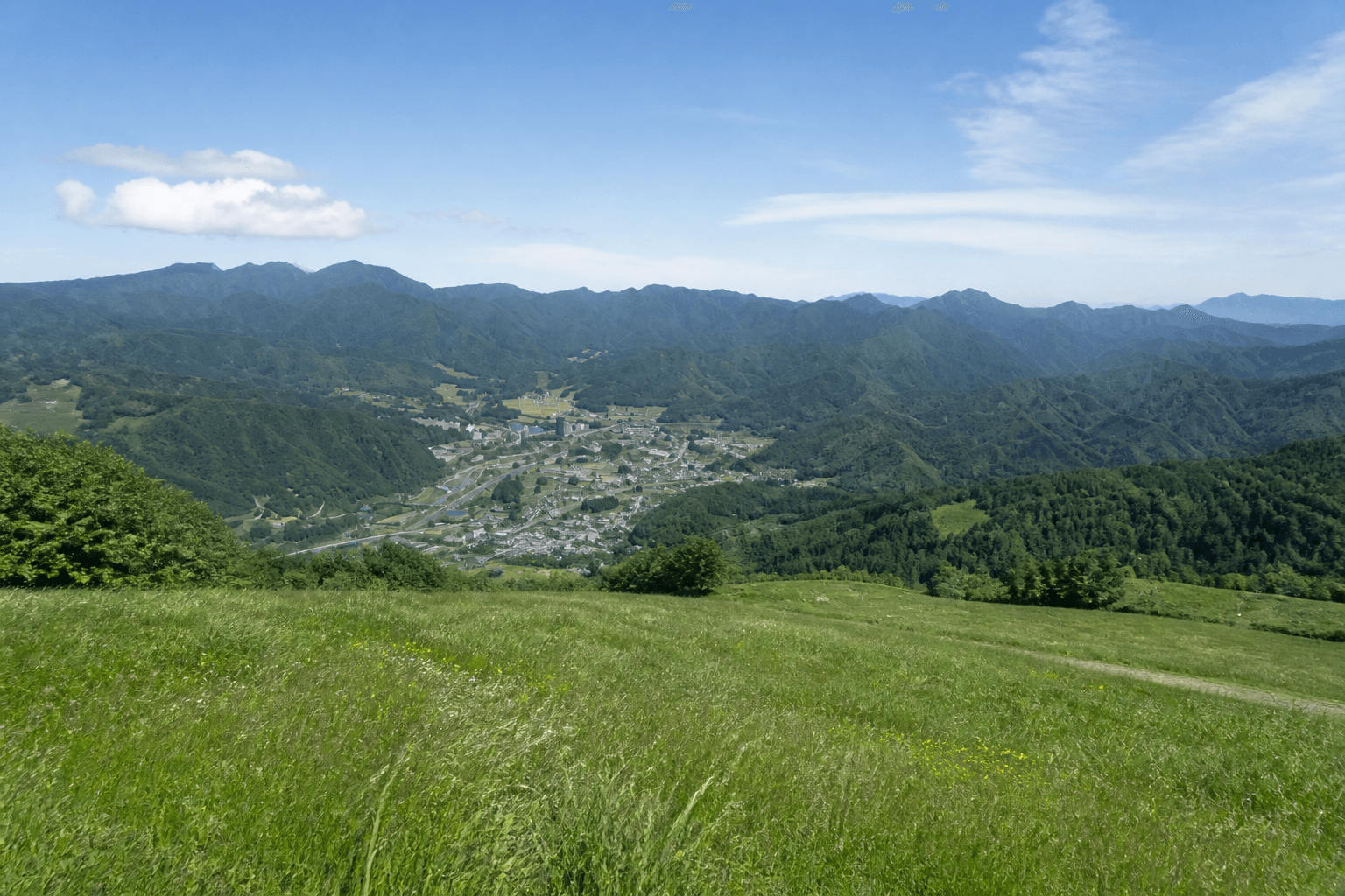湯沢高原の緑季のパノラマ
