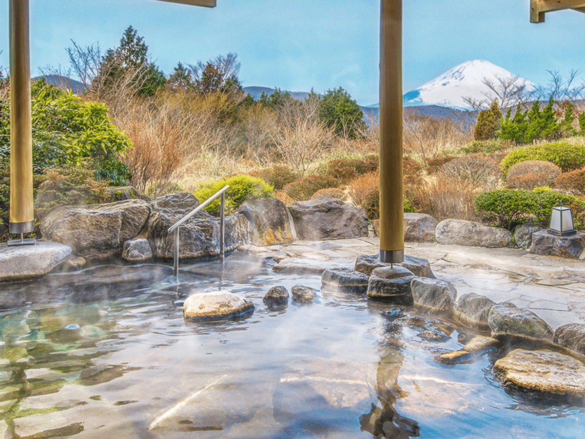 富士山を一望できる宿　ホテルグリーンプラザ箱根 tertiary image