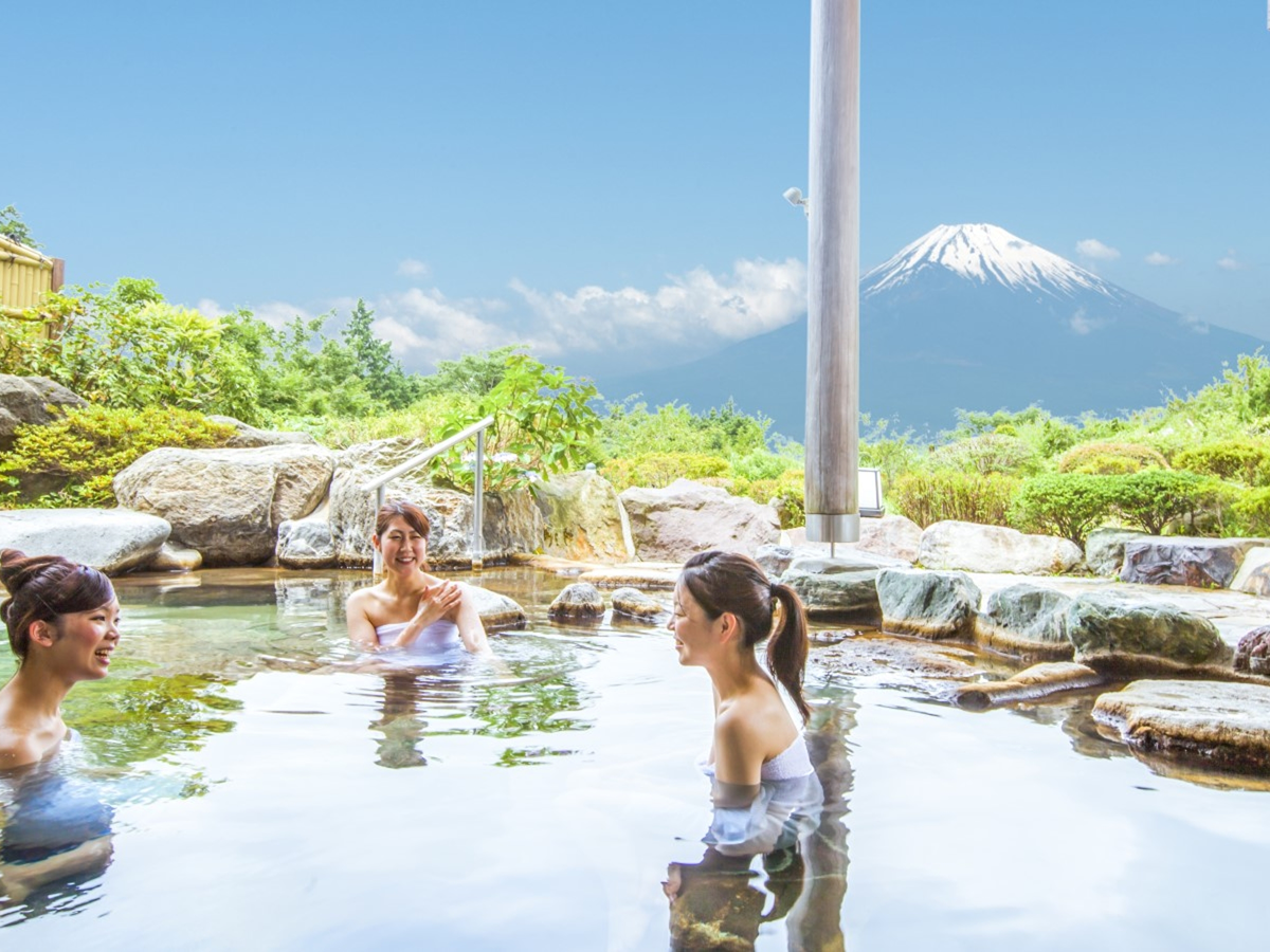 富士山を一望できる宿　ホテルグリーンプラザ箱根 tertiary image