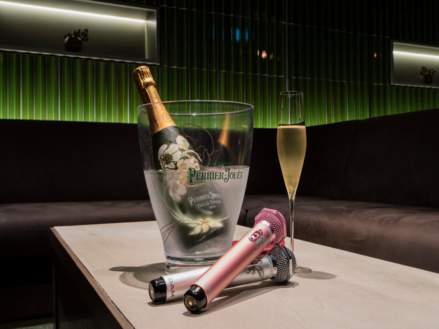 【ペア】プロのハモりに二人で感動！ライブ気分のカラオケバー飲み歌い放題