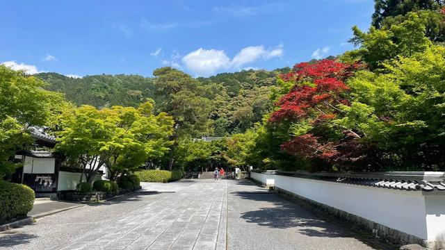 スニーカーで歩こう！緑と風と歴史を感じる京都１DAYハイキング