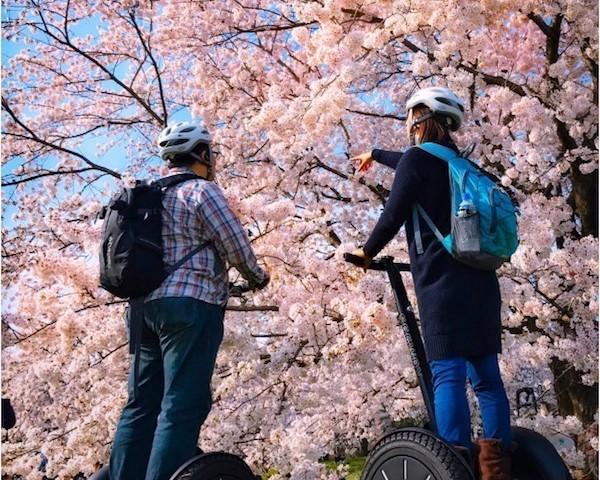 花の名所・昭和記念公園をセグウェイで！それは都心で非日常を味わう休日