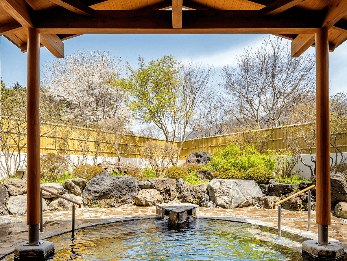 老神温泉　源泉湯の宿　紫翠亭 tertiary image