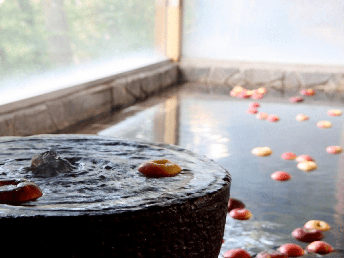 島崎藤村ゆかりの宿　中棚荘 tertiary image