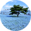 北関東 region