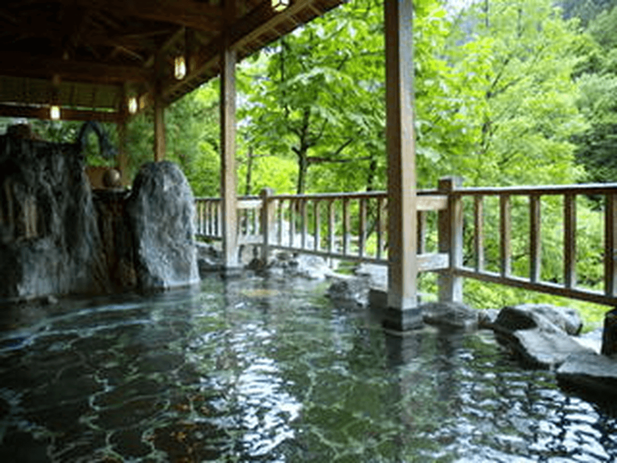 会津湯野上温泉 花鳥華やか風月の宿 藤龍館 secondary image